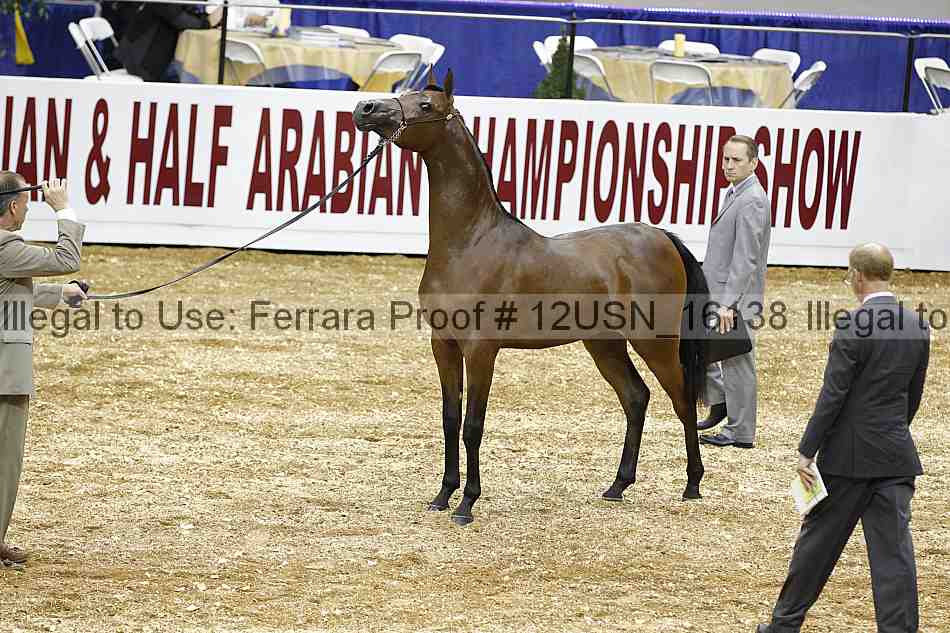 Proof 12usn_16138