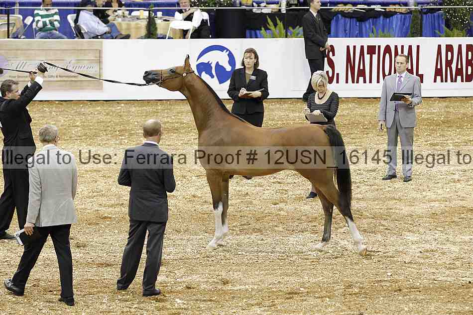 Proof 12usn_16145