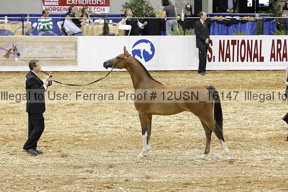 Proof 12usn_16147