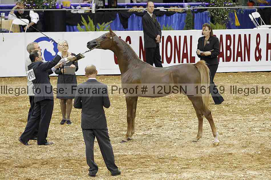 Proof 12usn_16159