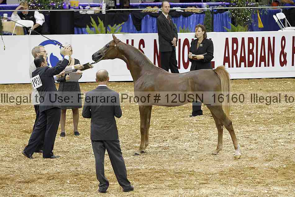 Proof 12usn_16160