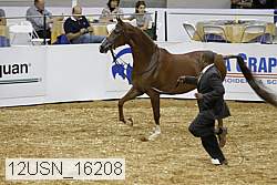 12usn_16208 proof