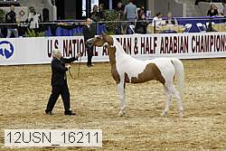 12usn_16211 proof
