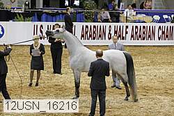 12usn_16216 proof