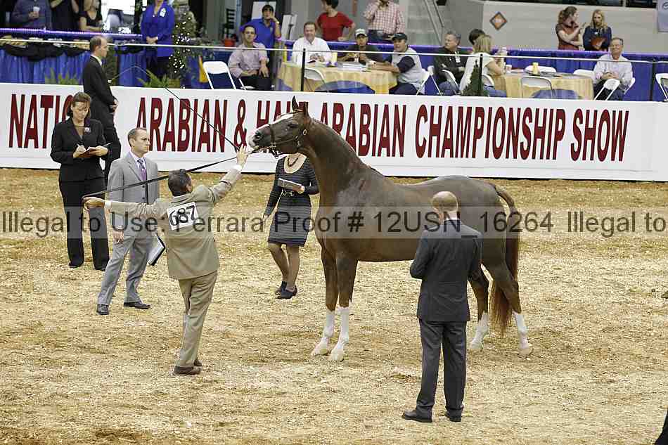 Proof 12usn_16264