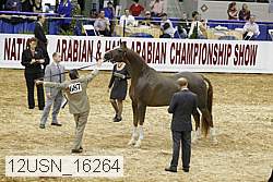 12usn_16264 proof