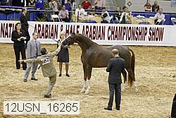 12usn_16265 proof