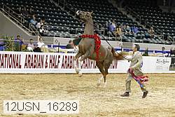 12usn_16289 proof