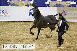 12usn_16294 proof