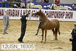 12usn_16305 proof
