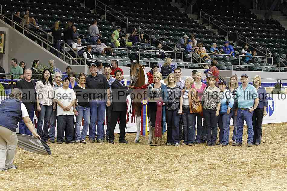 Proof 12usn_16335
