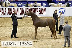 12usn_16354 proof