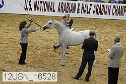 12usn_16528 proof