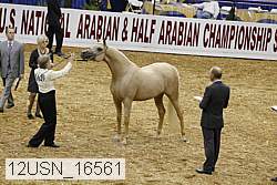 12usn_16561 proof