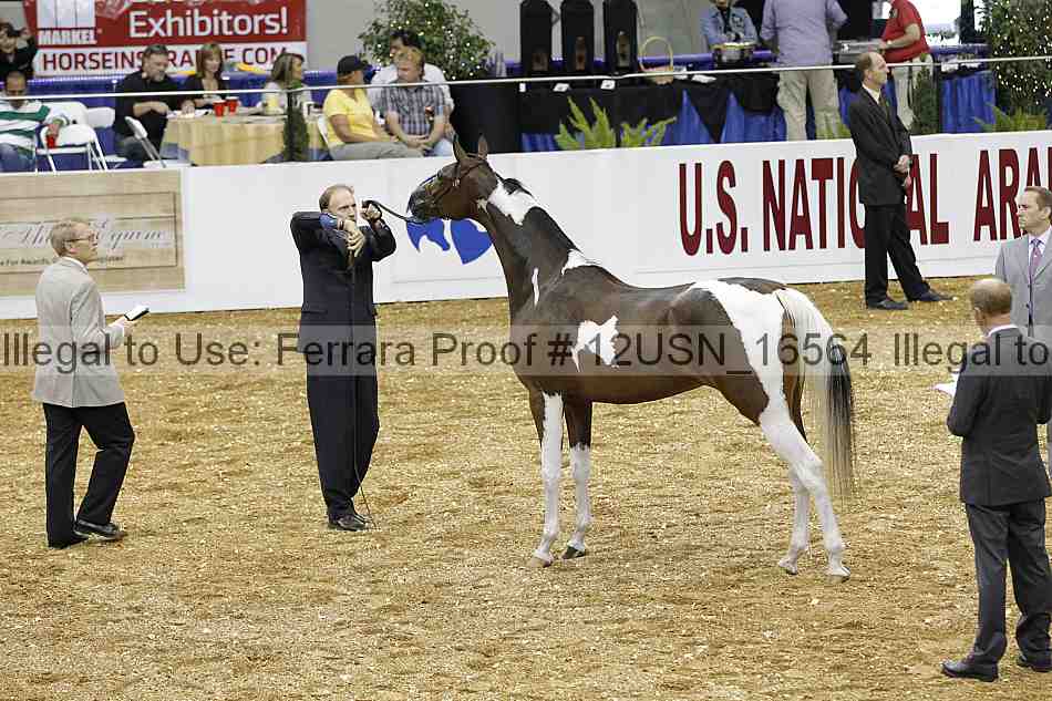 Proof 12usn_16564