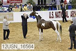 12usn_16564 proof