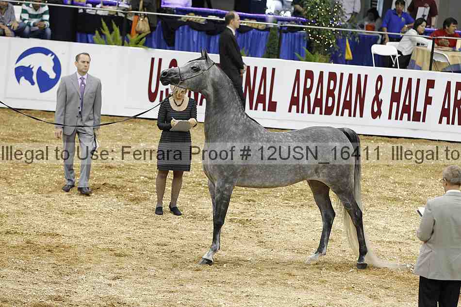 Proof 12usn_16411