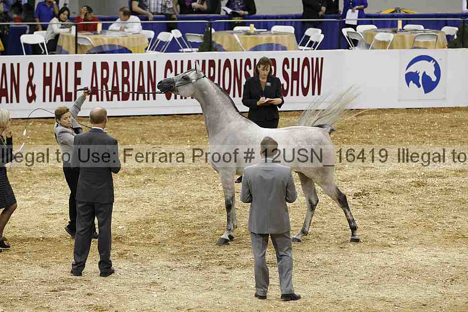 Proof 12usn_16419