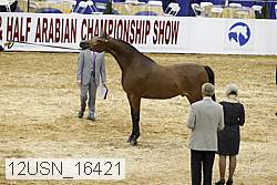 12usn_16421 proof