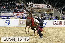 12usn_16443 proof