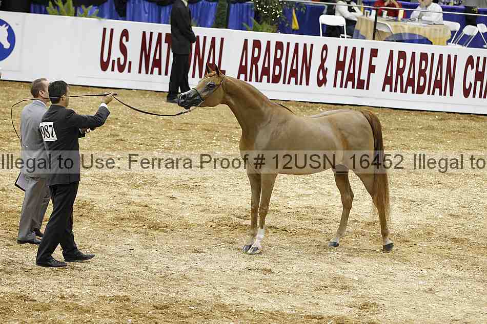 Proof 12usn_16452