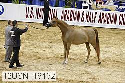 12usn_16452 proof