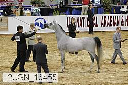 12usn_16455 proof