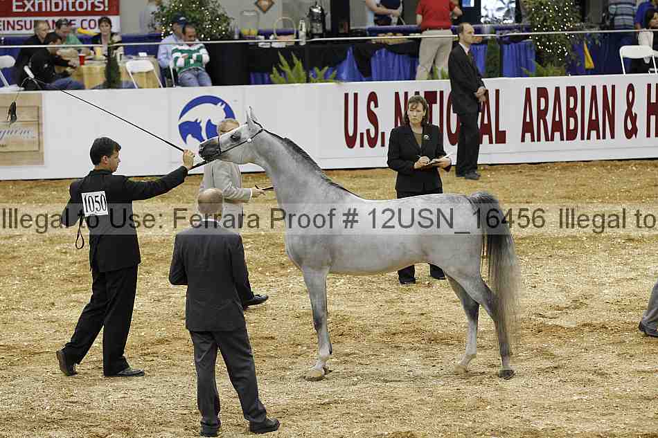 Proof 12usn_16456