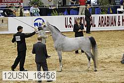 12usn_16456 proof