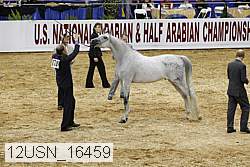 12usn_16459 proof