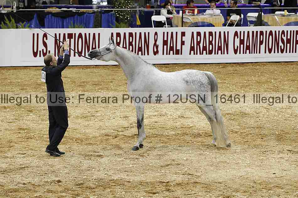 Proof 12usn_16461