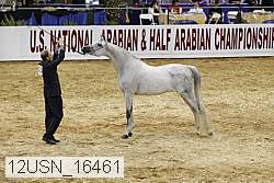 12usn_16461 proof