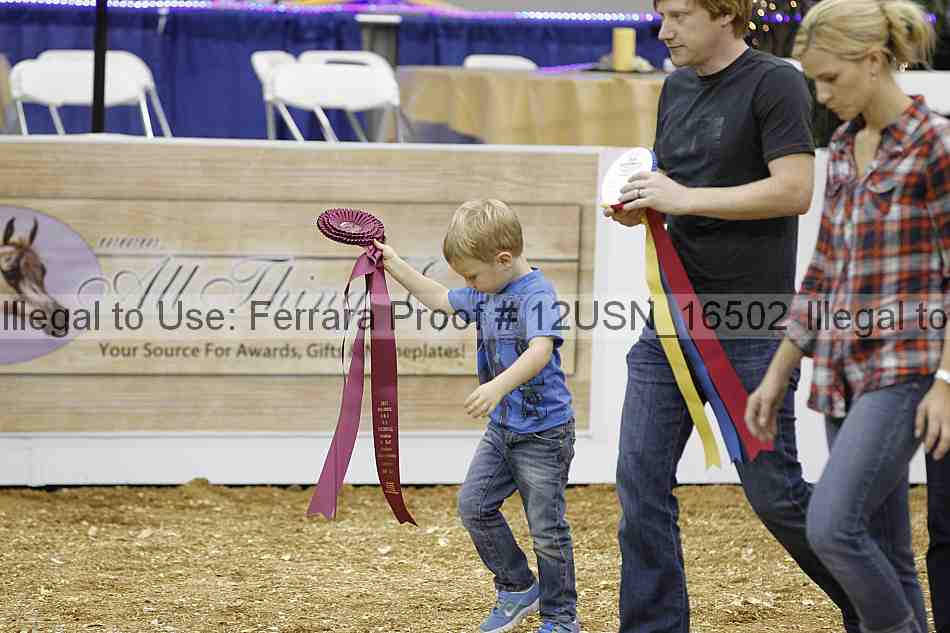Proof 12usn_16502