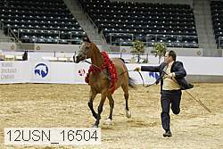 12usn_16504 proof