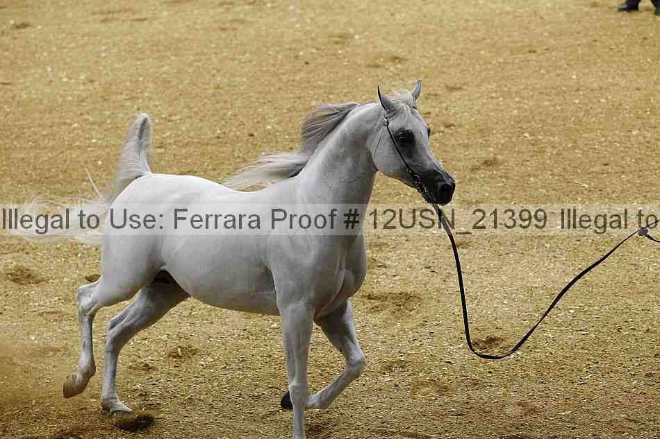 Proof 12usn_21399