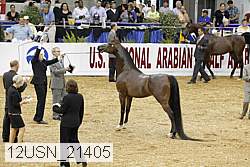 12usn_21405 proof