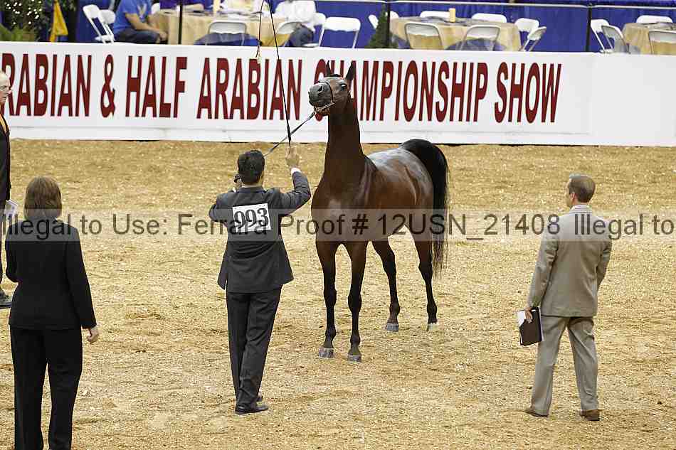 Proof 12usn_21408
