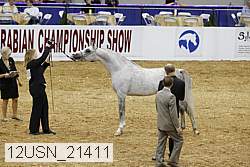 12usn_21411 proof