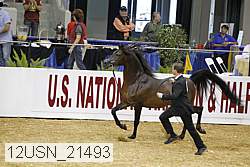 12usn_21493 proof