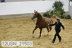 12usn_21503 proof