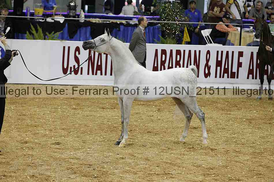 Proof 12usn_21511