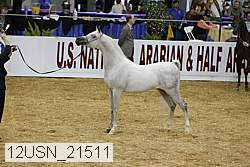 12usn_21511 proof