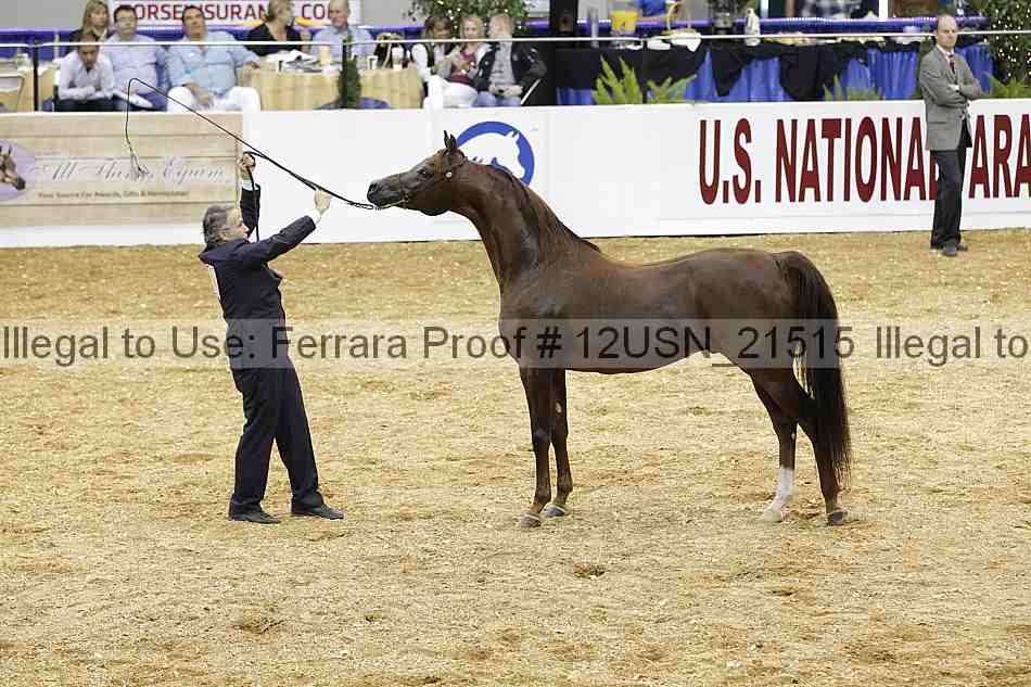 Proof 12usn_21515