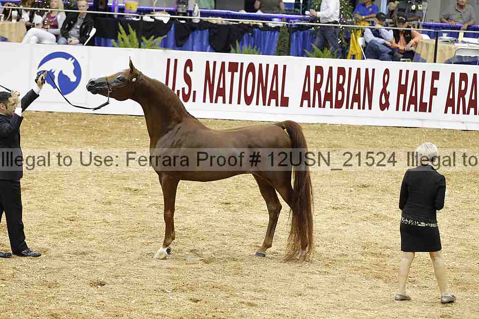 Proof 12usn_21524
