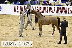12usn_21635 proof
