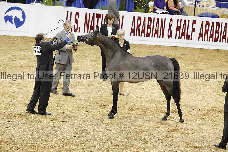 Proof 12usn_21639