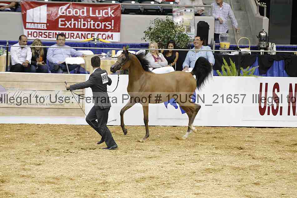 Proof 12usn_21657