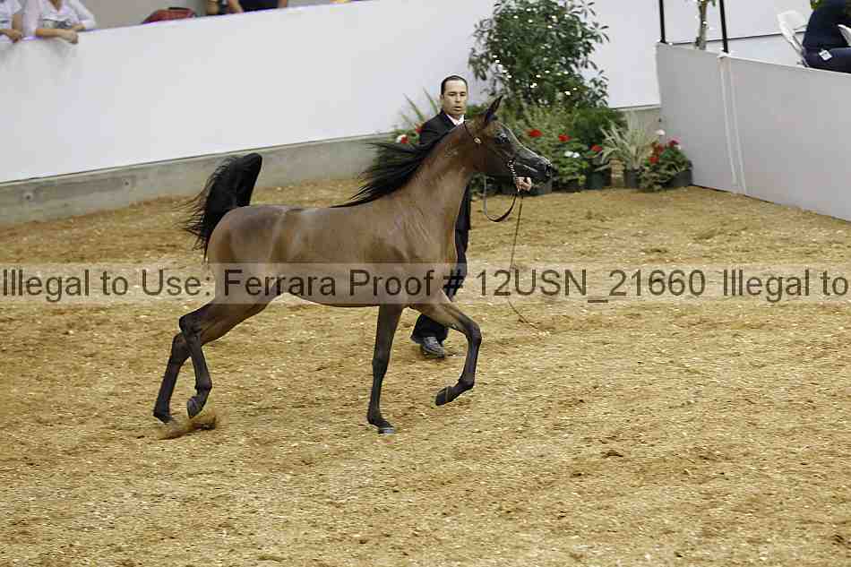 Proof 12usn_21660