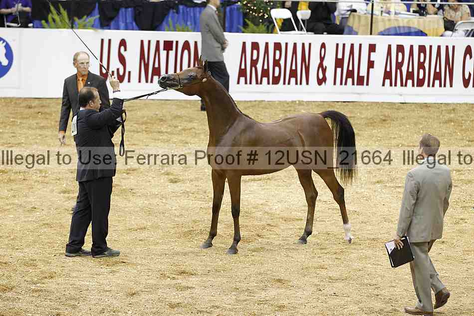 Proof 12usn_21664