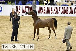 12usn_21664 proof
